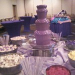 chocolate fountain for Sheraton convention