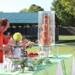 Chocolate Fountains in Farmingtonn Utah