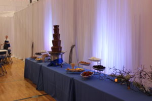 chocolate fountain rental for a bat mitzvah